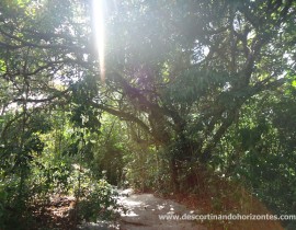 Parque Estadual Paulo Cesar Vinha – Guarapari