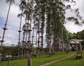 Maior Circuito de Arvorismo da América Latina em Venda Nova do Imigrante